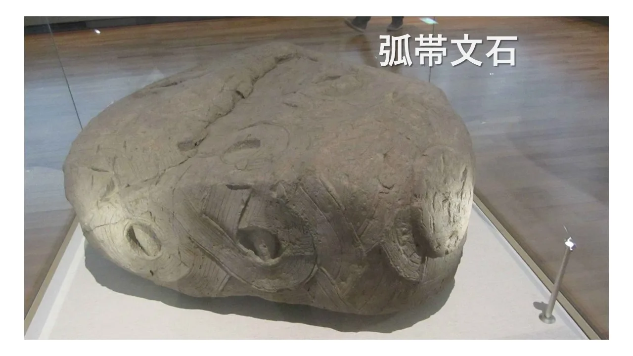 展示されている弧帯文石